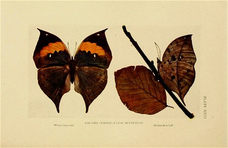 n207_w1150