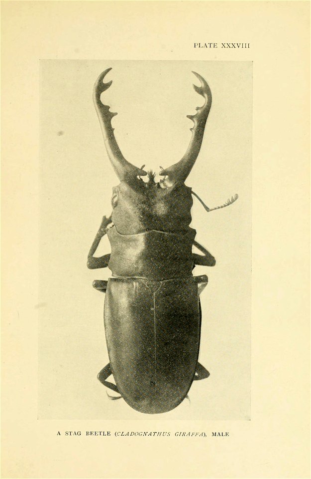 n266_w1150