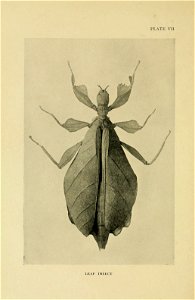n119_w1150