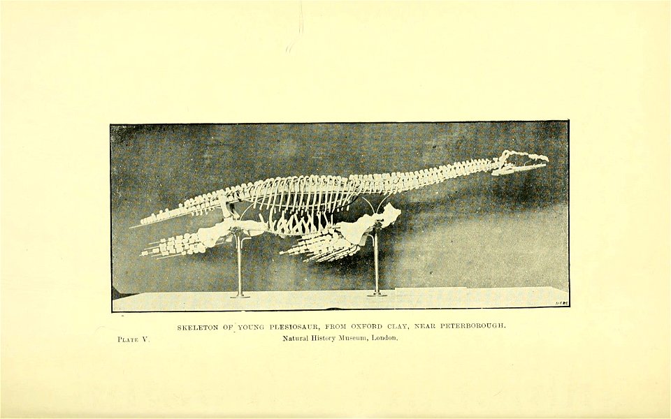 n127_w1150