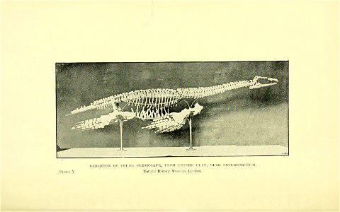 n127_w1150