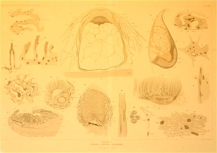 n180_w1150