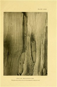 n398_w1150
