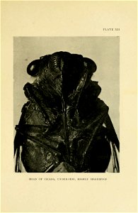 n156_w1150