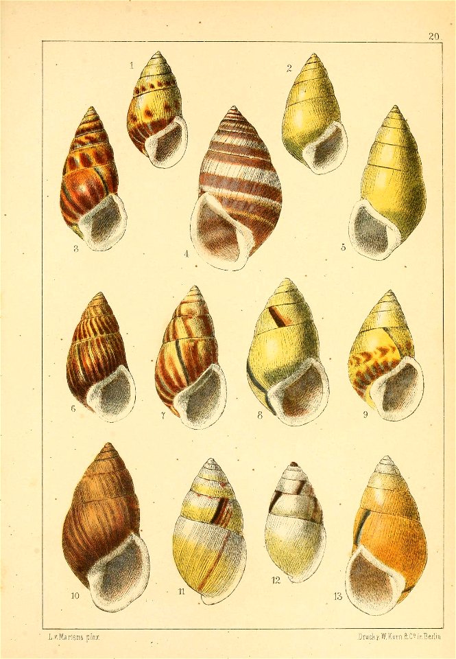 n504_w1150