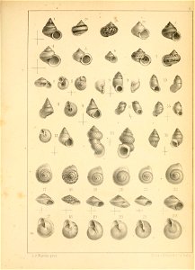 n472_w1150