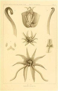 n102_w1150