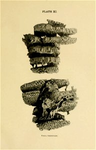 n276_w1150