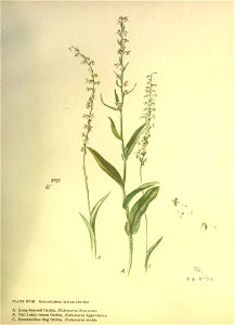 n82_w1150