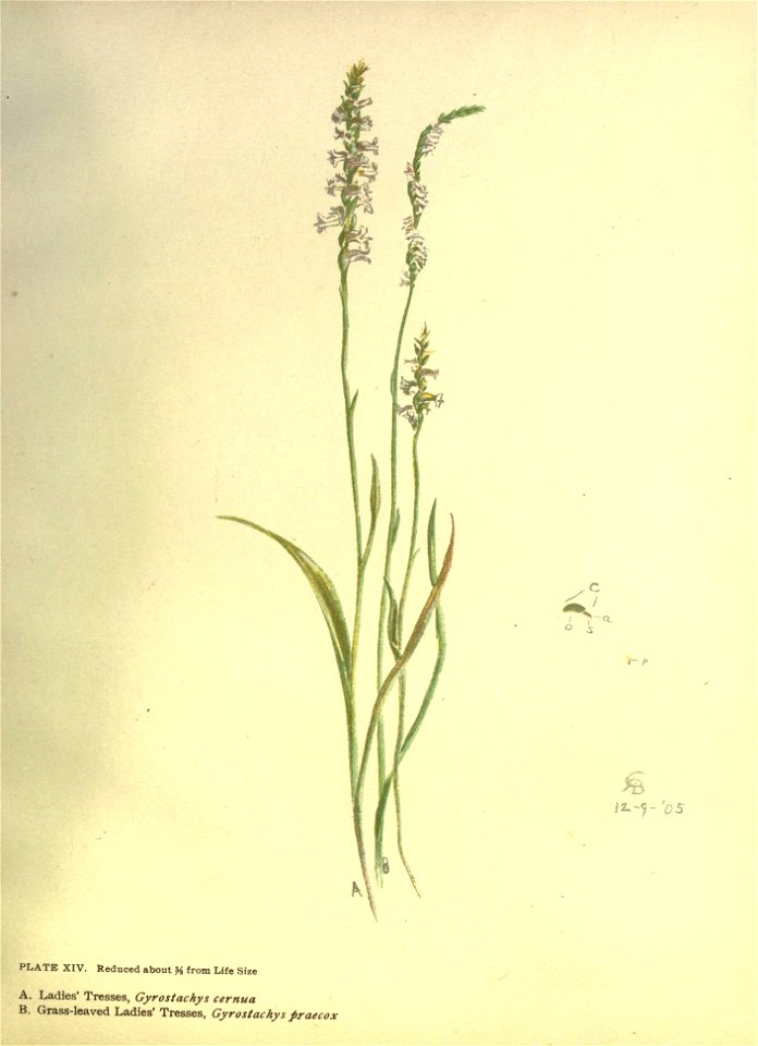 n66_w1150