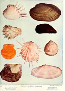 n58_w1150