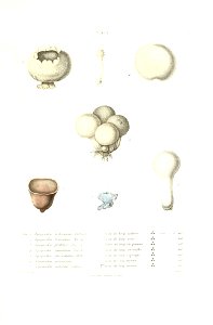 n580_w1150