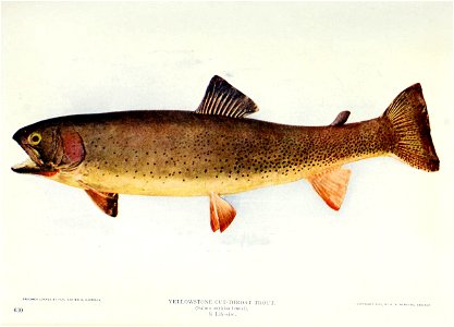 n166_w1150