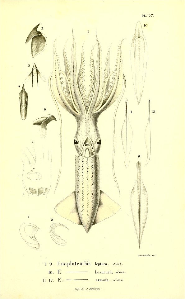 n58_w1150
