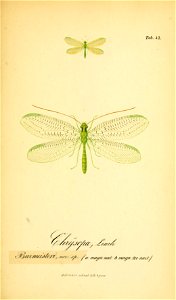 n266_w1150