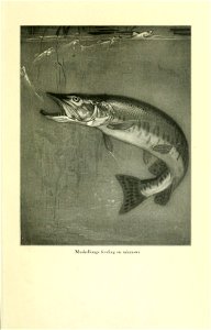n134_w1150