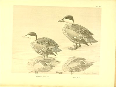 n586_w1150