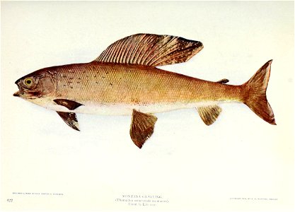 n174_w1150