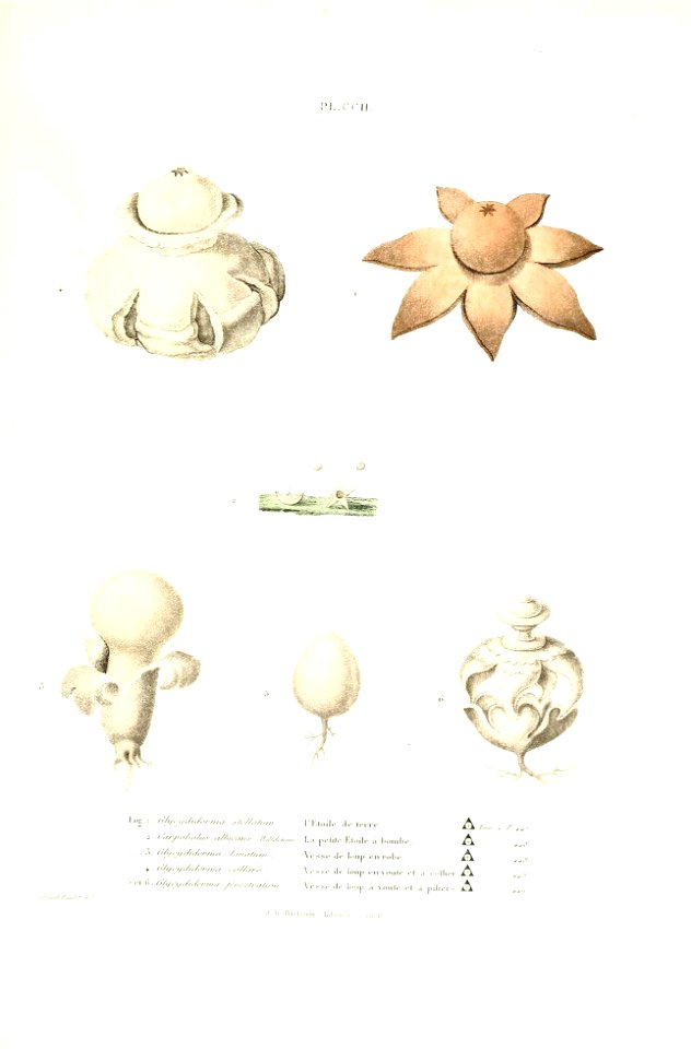 n582_w1150