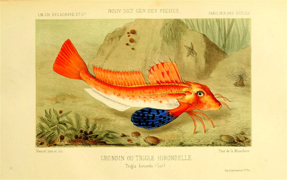 n895_w1150