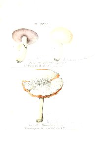n430_w1150