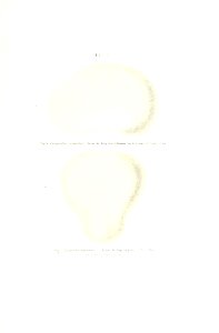 n578_w1150