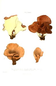 n548_w1150
