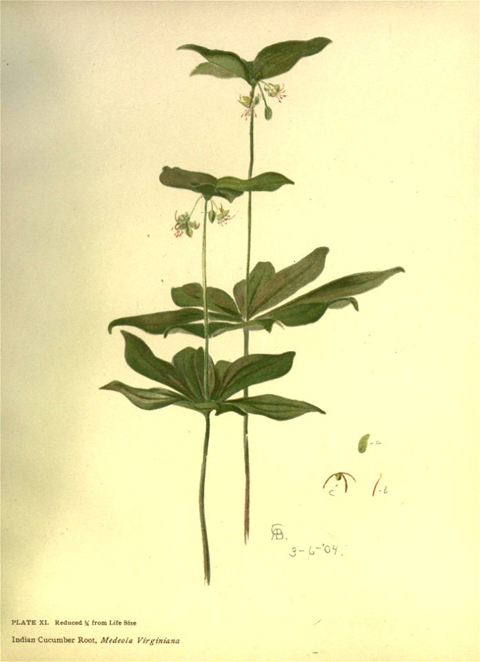 n54_w1150