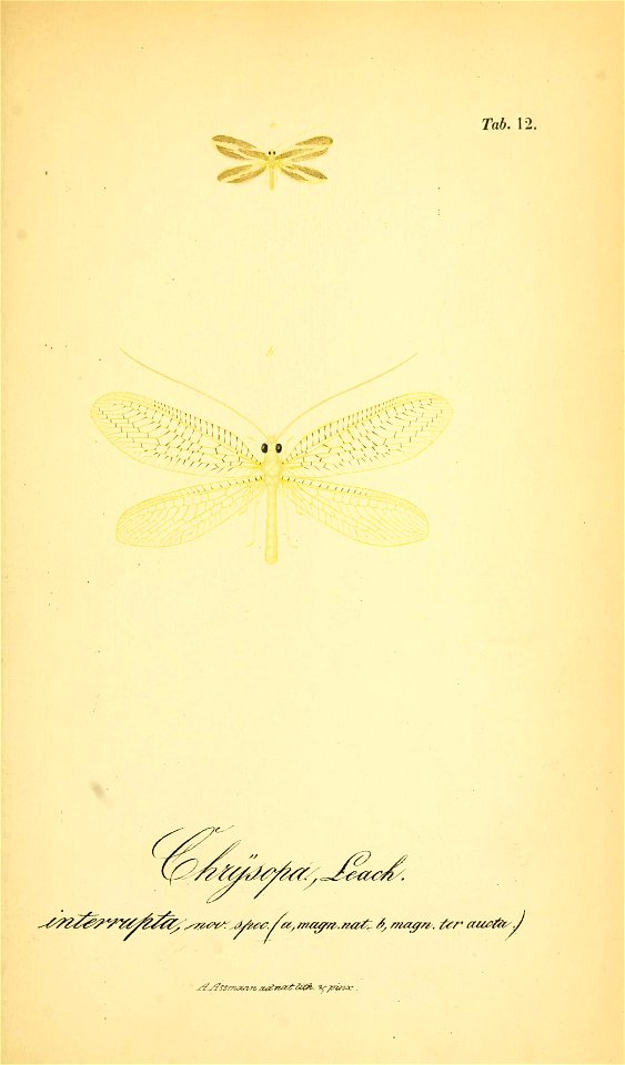 n206_w1150