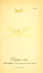 n206_w1150