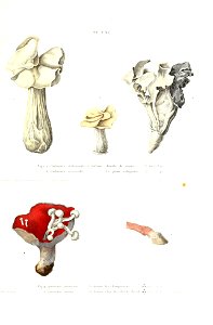 n558_w1150