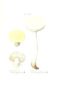 n498_w1150