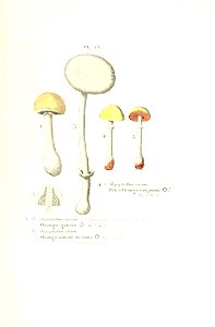 n468_w1150