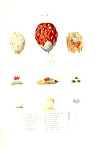 n586_w1150