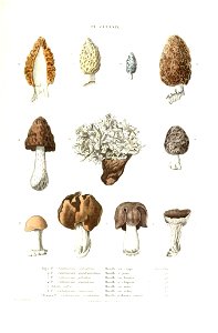 n556_w1150