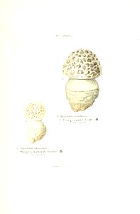 n496_w1150