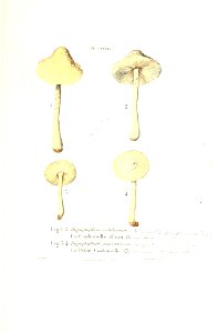 n436_w1150