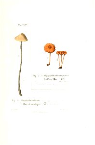n406_w1150