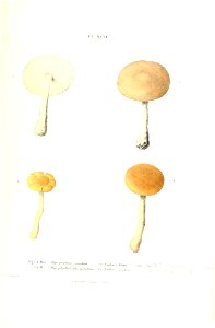 n346_w1150