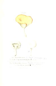 n286_w1150