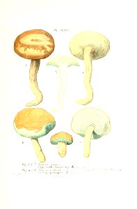 n524_w1150