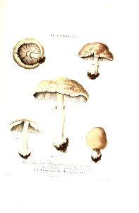 n434_w1150