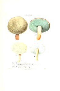 n522_w1150