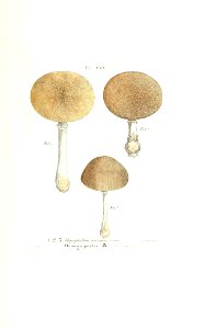 n492_w1150