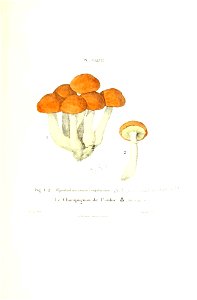 n462_w1150