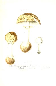 n432_w1150
