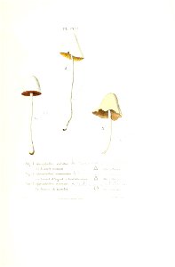 n402_w1150
