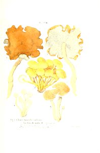 n372_w1150