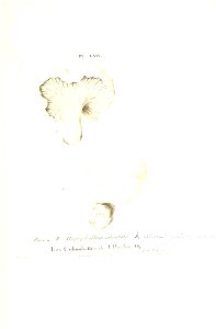 n282_w1150