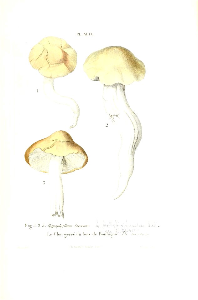n252_w1150